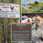 li-farm-may-be-peddling-perdue-as-‘fresh’-and-‘locally-sourced’-chicken-—-at-steep-markup:-post-investigation