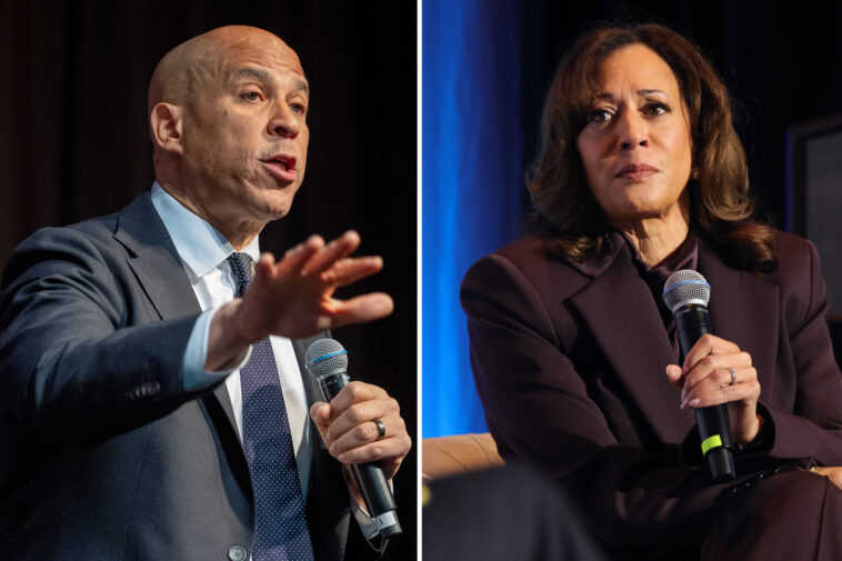 kamala-harris,-cory-booker,-other-dems-push-dnc-to-release-its-2024-postmortem