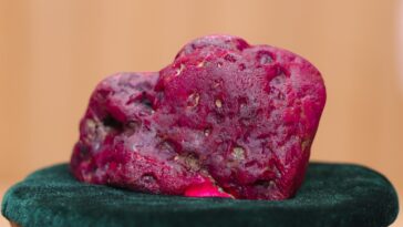 massive-5-pound,-11,000-carat-rare-ruby-discovered-by-miners-in-war-torn-myanmar