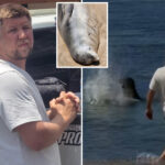 hawaiian-hailed-a-hero-for-beating-entitled-tourist-caught-hurling-rock-at-beloved-seal-‘lani’-in-viral-video