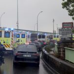 french-national-suffering-symptoms-on-return-trip-from-hantavirus-striken-cruise