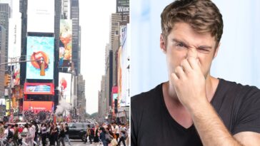 raising-a-stink:-the-post-sniffed-out-nyc’s-smelliest-neighborhoods,-according-to-311-complaints