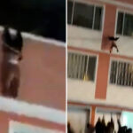 heart-stopping-video-shows-toddler-fall-from-4th-floor-balcony-after-dad-left-him-home-alone-to-get-cigarettes