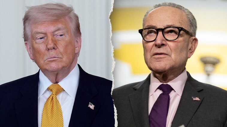 trump-accuses-schumer-of-trying-to-‘interfere-in-our-elections’-with-latest-strategy