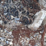 two-cartel-clandestine-crematorium-sites-found-in-mexico-near-texas-border