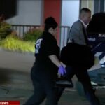 female-student,-19,-stabbed-to-death-in-off-campus-university-of-washington-housing