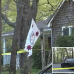maniac-son-stabbed-disabled-ny-mom-40-times-as-she-called-cops-on-mother’s-day:-officials