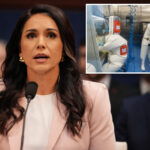 dni-tulsi-gabbard-probes-us-funding-to-more-than-120-biolabs-abroad