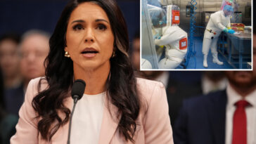 dni-tulsi-gabbard-probes-us-funding-to-more-than-120-biolabs-abroad