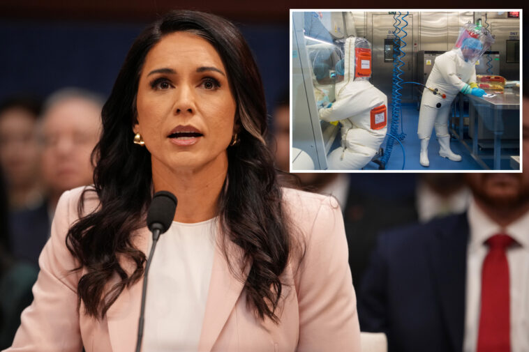 dni-tulsi-gabbard-probes-us-funding-to-more-than-120-biolabs-abroad