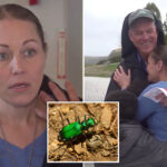 maine-woman-picks-up-‘beautiful’-bug-that-caught-her-eye-—-it-almost-killed-her