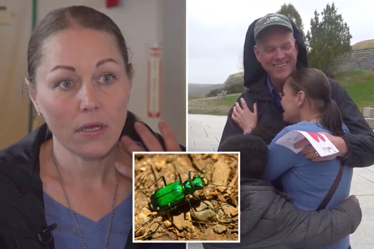 maine-woman-picks-up-‘beautiful’-bug-that-caught-her-eye-—-it-almost-killed-her