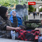 nyc’s-most-crime-ridden-park-revealed-in-startling-stats:-‘my-most-hated’