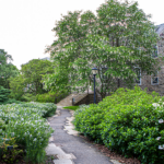 liberal-arts-college-drops-prof’s-name-from-campus-hall-after-grave-dig-controversy