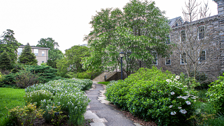 liberal-arts-college-drops-prof’s-name-from-campus-hall-after-grave-dig-controversy
