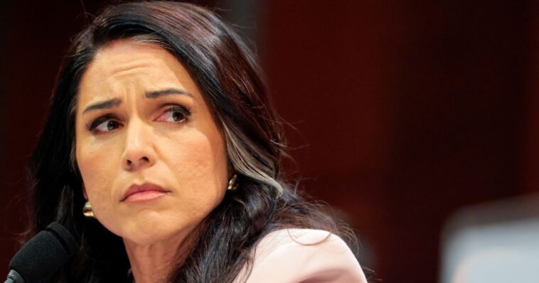 tulsi-gabbard-launches-investigation-on-120-us-funded-biolabs-–-dozens-located-in-ukraine