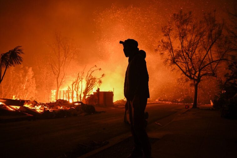 the-palisades-arsonist-is-every-leftist-and-they-want-america-to-burn