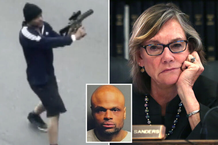 rifle-wielding-maniac-was-free-to-go-on-rampage-thanks-to-sweetheart-sentence