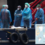 who-warns-that-more-hantavirus-cases-are-likely-—-but-‘no-sign’-of-widespread-outbreak-from-cruise-ship