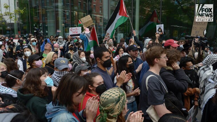 pro-palestine-protester-who-interrupted-super-bowl-lix-halftime-show-found-guilty-in-court