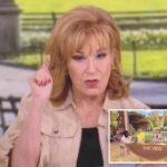 ‘the-view’-host-joy-behar-goes-off-the-rails-with-‘toddler-white-nationalist’-screed