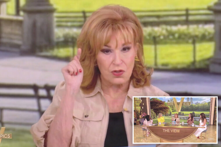 ‘the-view’-host-joy-behar-goes-off-the-rails-with-‘toddler-white-nationalist’-screed