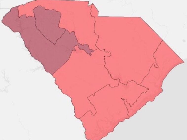 breaking:-here-are-the-five-south-carolina-senate-rinos-who-voted-to-block-redistricting