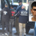 illegal-migrant-nabbed-for-twisted-string-of-‘dangerous’-fires-on-long-island-–-turned-over-to-ice-as-charges-not-bail-eligible:-officials