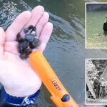 brave-divers-explore-russian-river-near-the-mysterious-and-top-secret-bohemian-grove