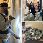police-enforcing-eviction-order-recover-300-pounds-of-illegal-marijuana-in-nyc-building