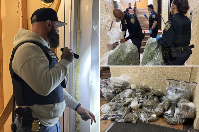 police-enforcing-eviction-order-recover-300-pounds-of-illegal-marijuana-in-nyc-building