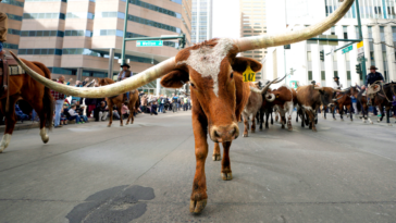 dallas-mayor-blasts-nyc-for-‘punishing-success’-as-he-pitches-‘y’all-street’-to-fleeing-billionaires