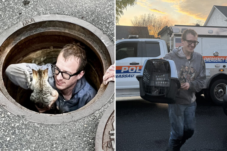 kitten-rescued-after-days-in-massapequa-sewer-as-cat-astrophe-averted