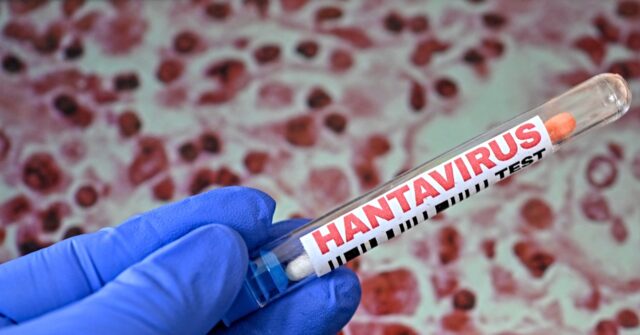 china-blocks-taiwan-from-world-health-assembly-amid-hantavirus-concerns