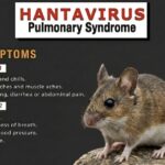 hantavirus:-are-we-on-the-verge-of-another-plandemic?