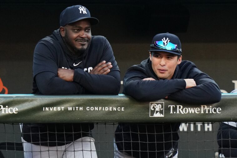 anthony-volpe-returns-to-yankees’-lineup-for-first-time-since-surgery