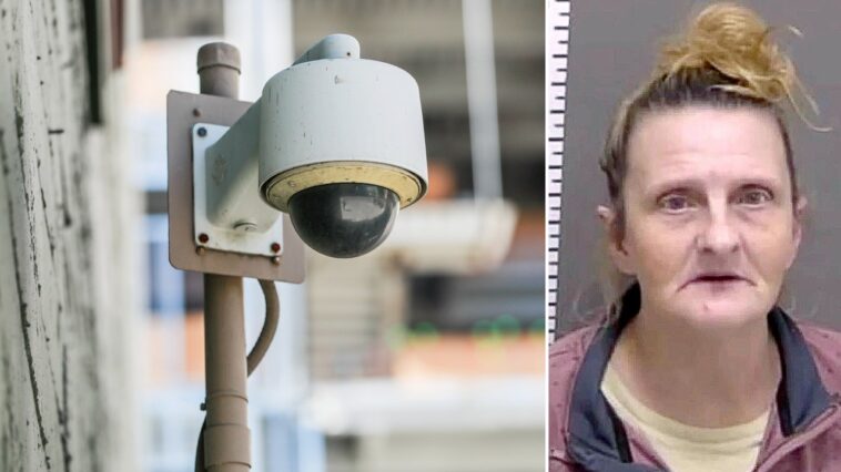 facial-recognition-jails-innocent-grandmother,-attorney-says