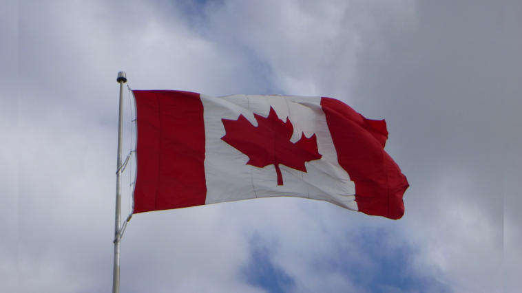 canadian-liberal-who-championed-mass-migration-questions-election-results-after-losing-race-to-immigrant