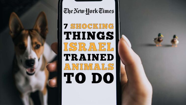 the-nytimes-reveals:-7-more-shocking-things-israel-has-trained-animals-to-do
