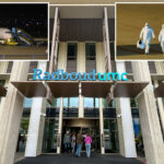 dutch-hospital-quarantines-12-staffers-following-hantavirus-protocol-breach