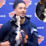 why-josh-hart-brought-a-dog-to-practice-with-knicks-playoffs-on-hold:-‘whatever-makes-good-vibes’