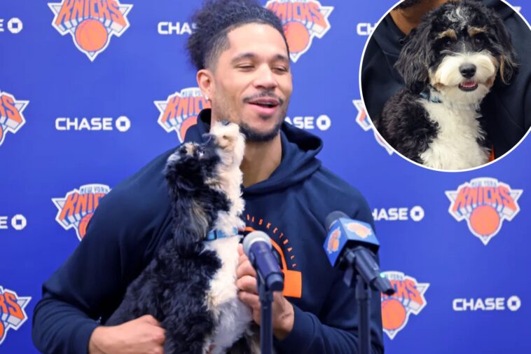 why-josh-hart-brought-a-dog-to-practice-with-knicks-playoffs-on-hold:-‘whatever-makes-good-vibes’