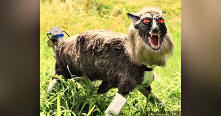 only-in-japan:-with-government-unable-to-deal-with-surging-bear-populations,-citizens-have-deployed-a-pack-of-robot-wolves-to-counter-them-(video)
