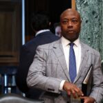 multiple-race-baiting-dems-humiliate-themselves-by-publicly-forgetting-sen.-tim-scott-even-exists-during-sc-redistricting-fight
