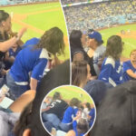 epic-dodgers-brawl-captured-as-fans-hurl-haymakers,-flash-gang-signs-midgame