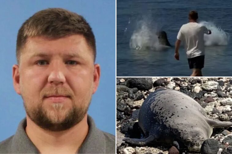 tourist-arrested-after-viral-video-caught-him-hurling-rock-at-endangered-seal-in-hawaii