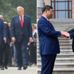‘lion’-like-trump-deploys-‘power-move’-as-he,-xi-show-‘genuine-affection’-during-historic-china-summit:-body-language-expert