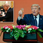 trump-invites-xi-to-visit-white-house-later-this-year,-touts-‘special-relationship’-with-china