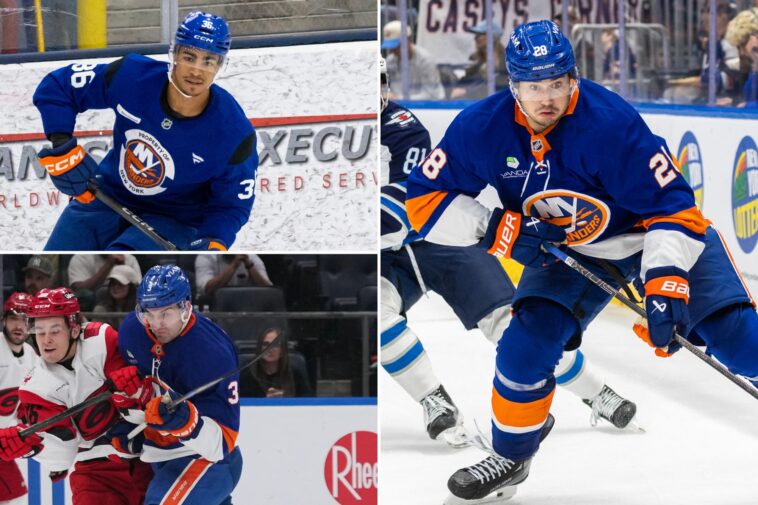 why-the-islanders’-biggest-offseason-question-hinges-on-what-alexander-romanov’s-comeback-looks-like