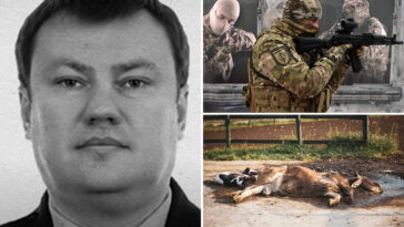 former-russian-spy-escaped-putin’s-death-squads-by-hiding-in-dead-cow’s-carcass
